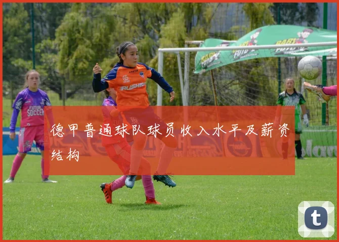 德甲普通球队球员收入水平及薪资结构
