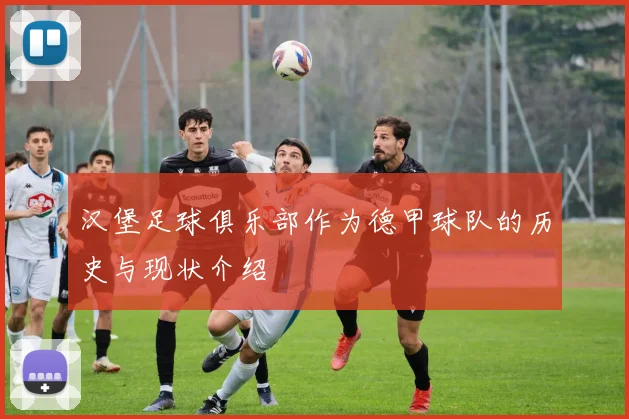 汉堡足球俱乐部作为德甲球队的历史与现状介绍