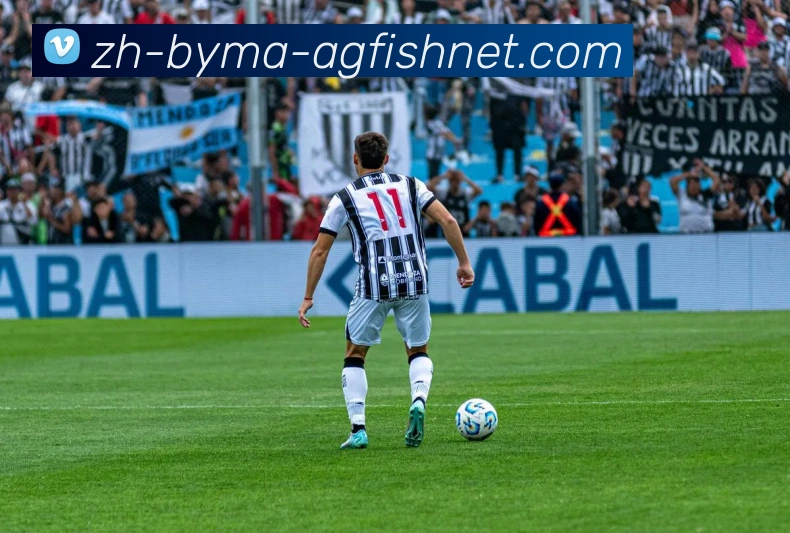 AG捕鱼王官网平台生态图