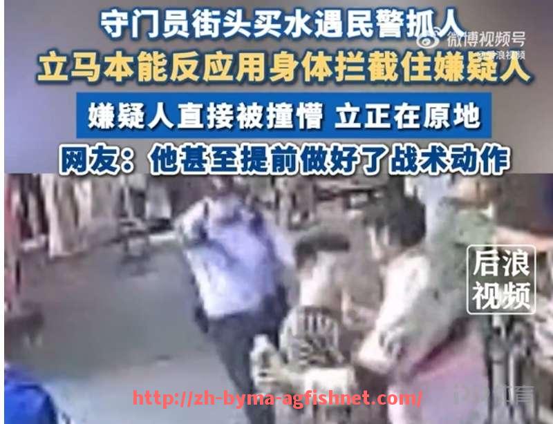 AG捕鱼王官网-2024赛季科隆队参加了几场德甲比赛？