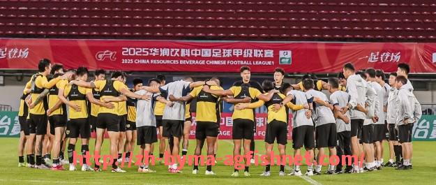 AG捕鱼王官网-fifa20西甲联赛球星评分与操作技巧指南